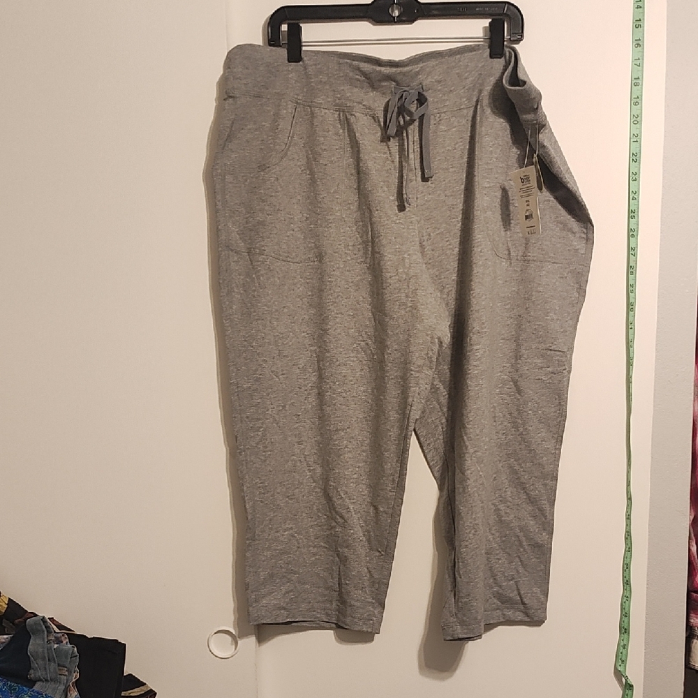 Casual Gray Women's Jean Shorts